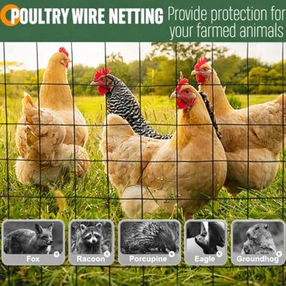 Heavy Duty Garden Fencing Roll for Chicken Dog Deer Cattle Animal Protection 16 Gauge Galvanized Welded Wire Fence with PV